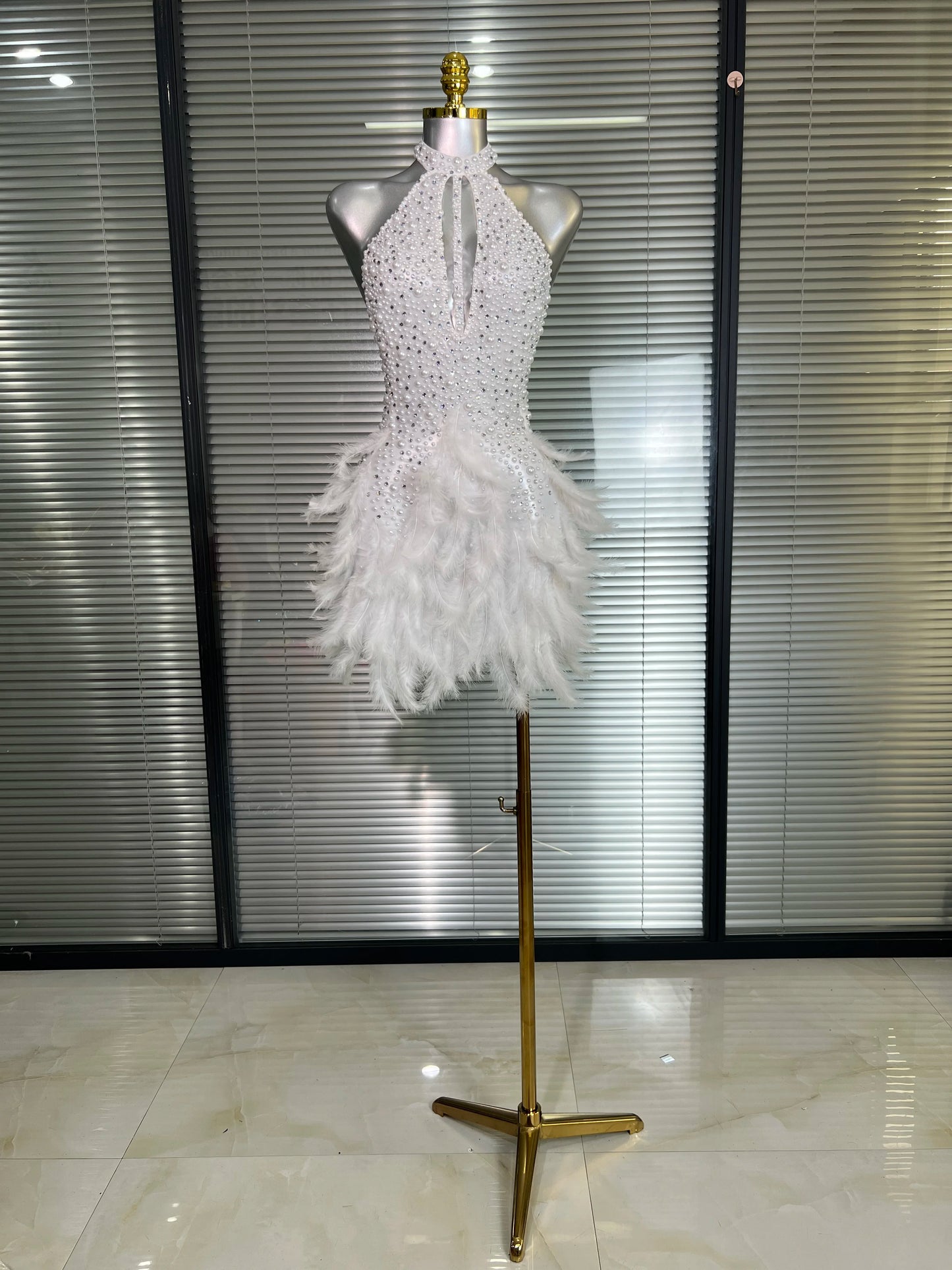 Backless Dance Dress Made with Feathers and Adorned with Crystal Diamonds