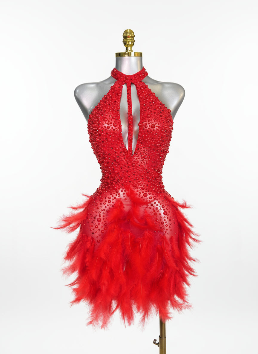Backless Dance Dress Made with Feathers and Adorned with Crystal Diamonds