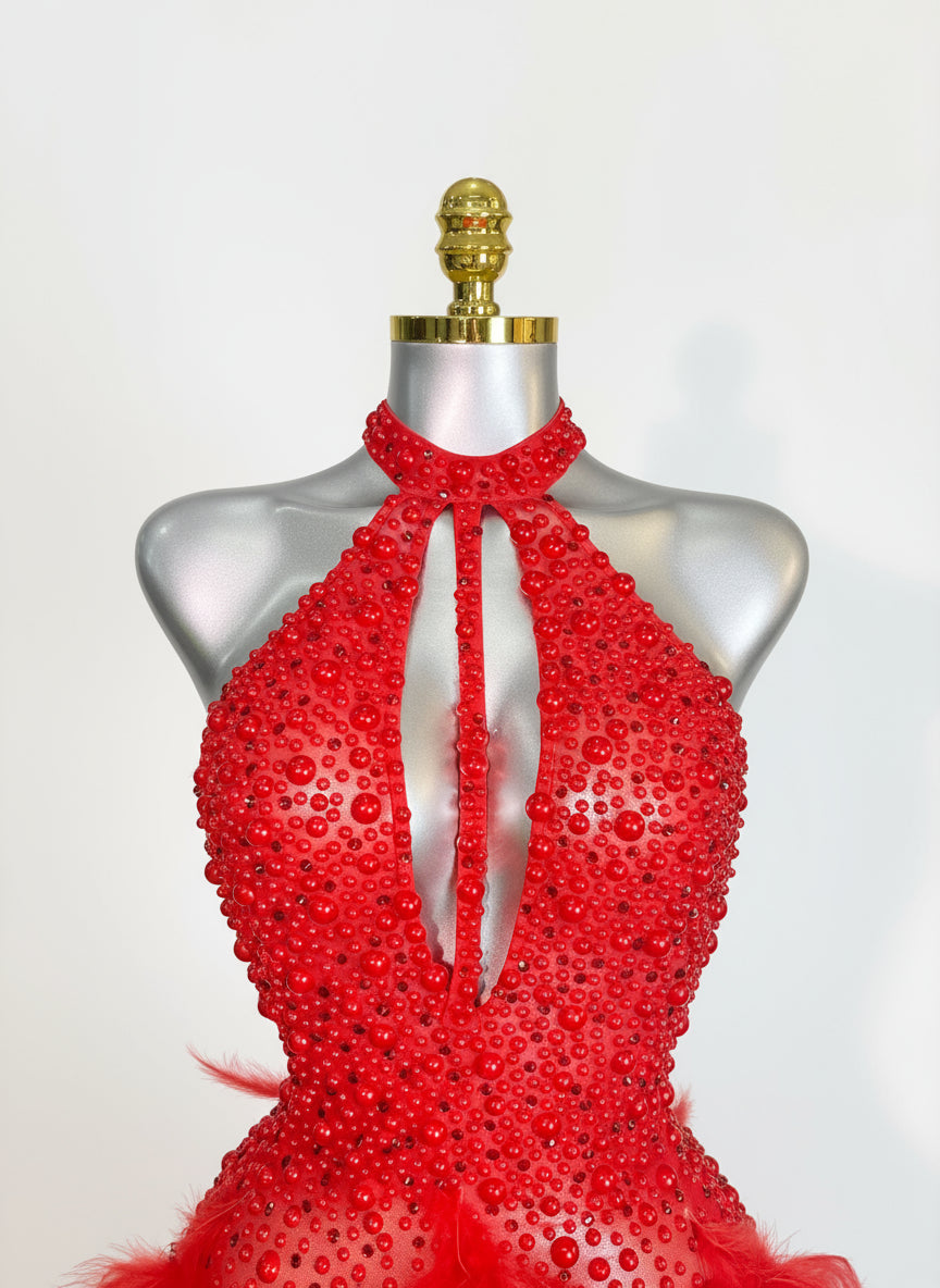 Backless Dance Dress Made with Feathers and Adorned with Crystal Diamonds