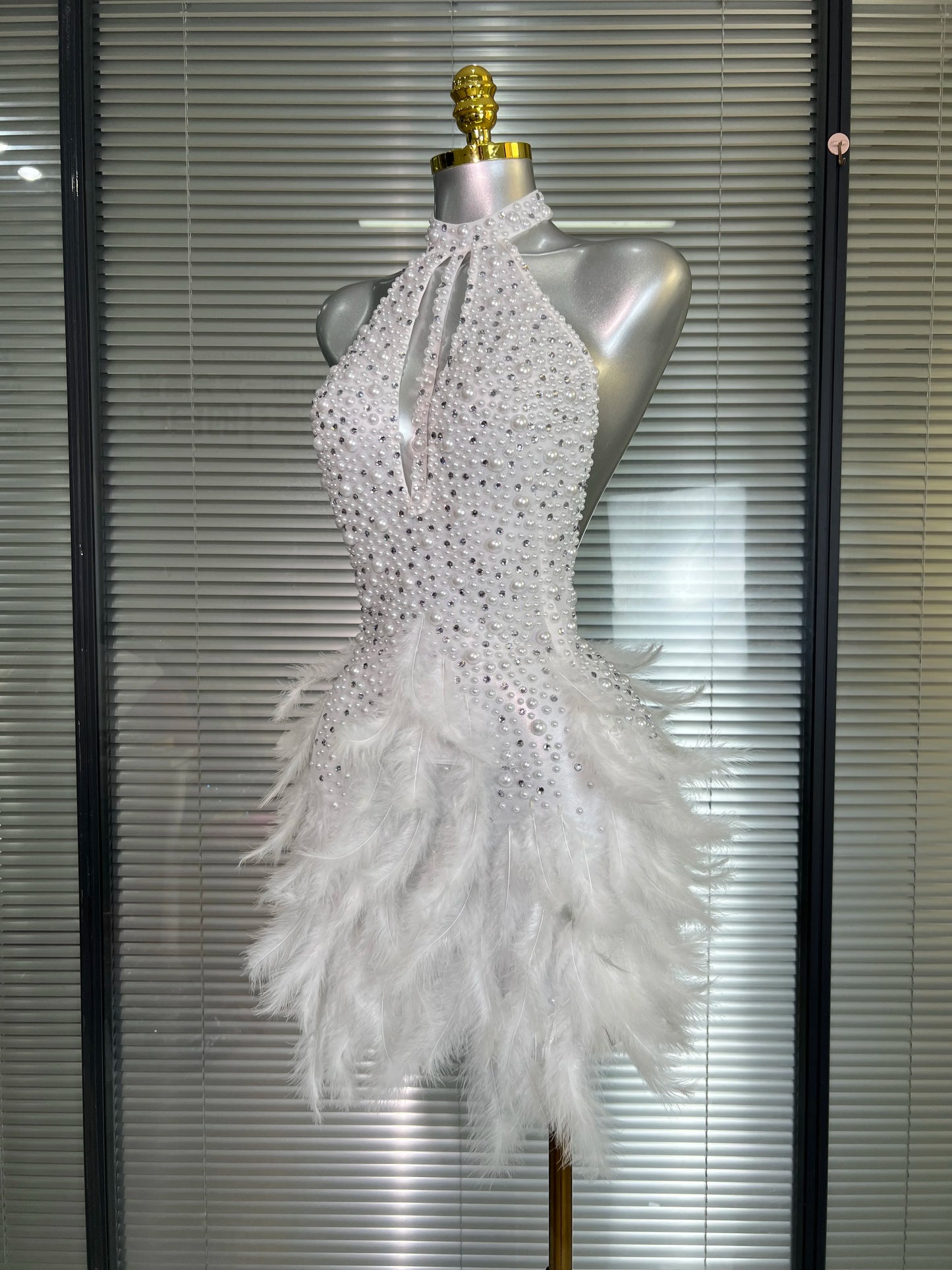 Backless Dance Dress Made with Feathers and Adorned with Crystal Diamonds