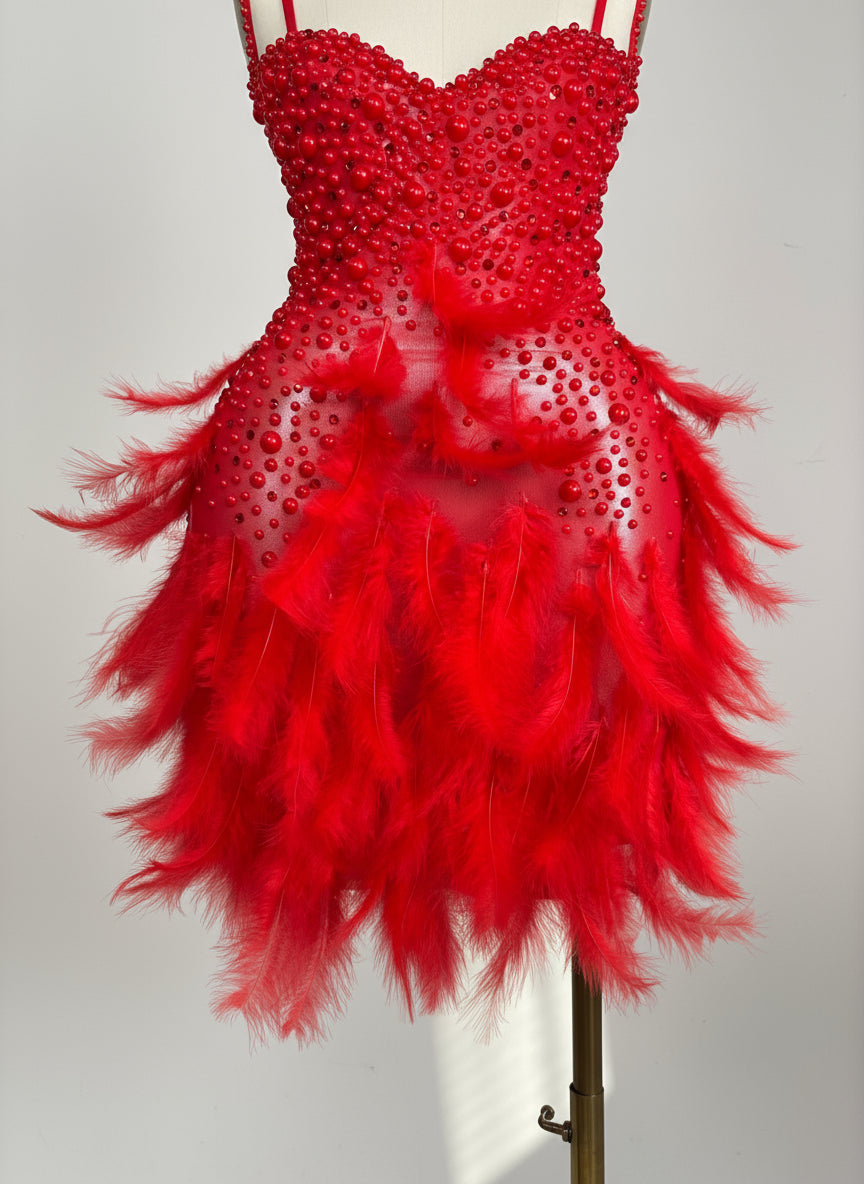 Backless Dance Dress Made with Feathers and Adorned with Crystal Diamonds