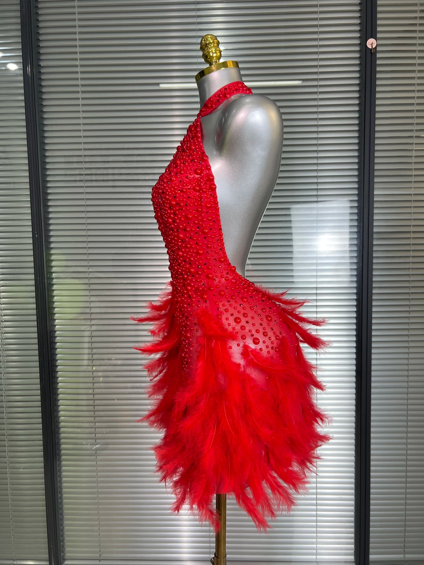 Backless Dance Dress Made with Feathers and Adorned with Crystal Diamonds